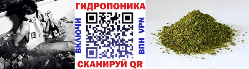 Конопля индика  Калининград 